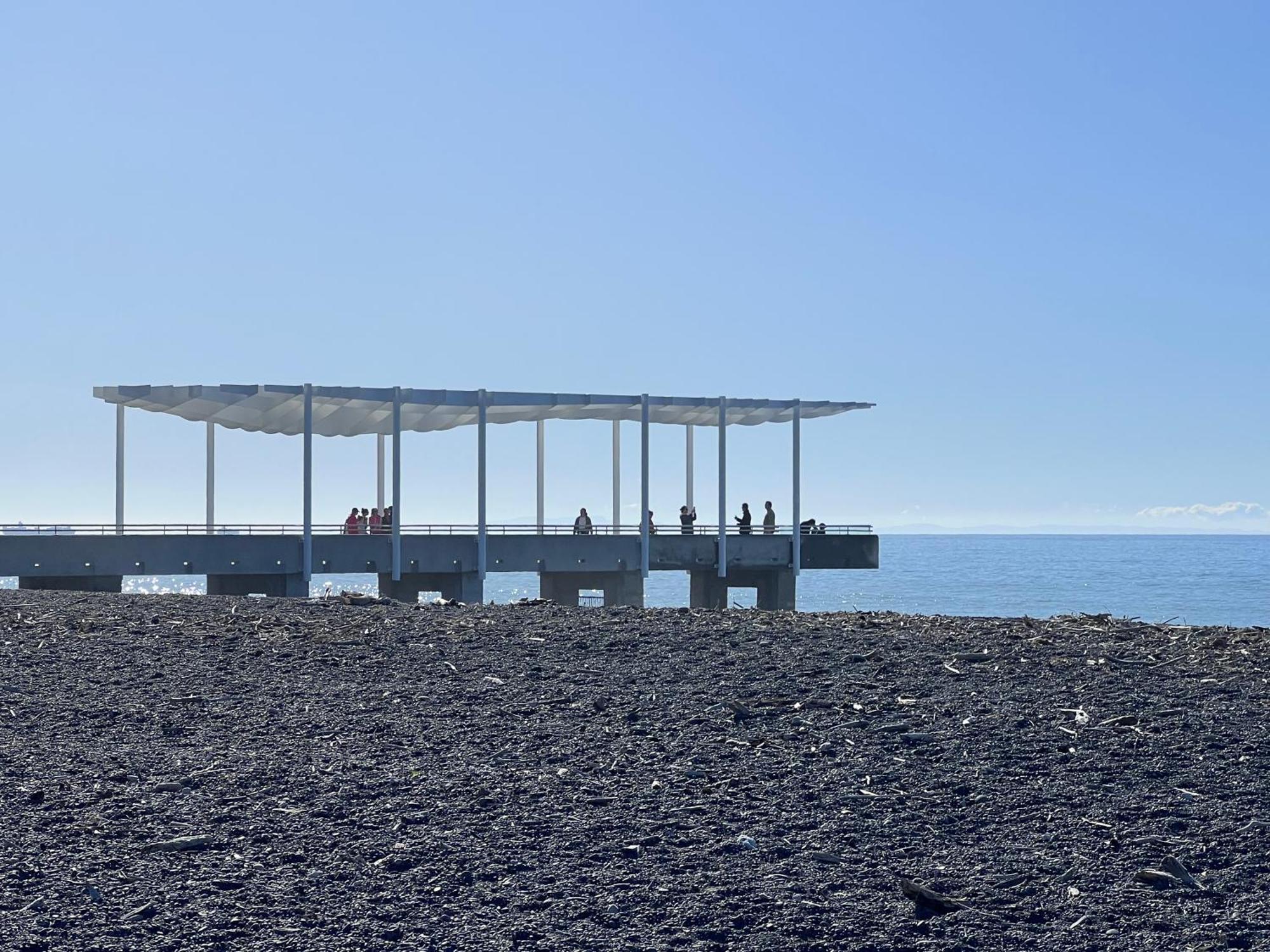 Beach Front Studio Napier Exterior foto